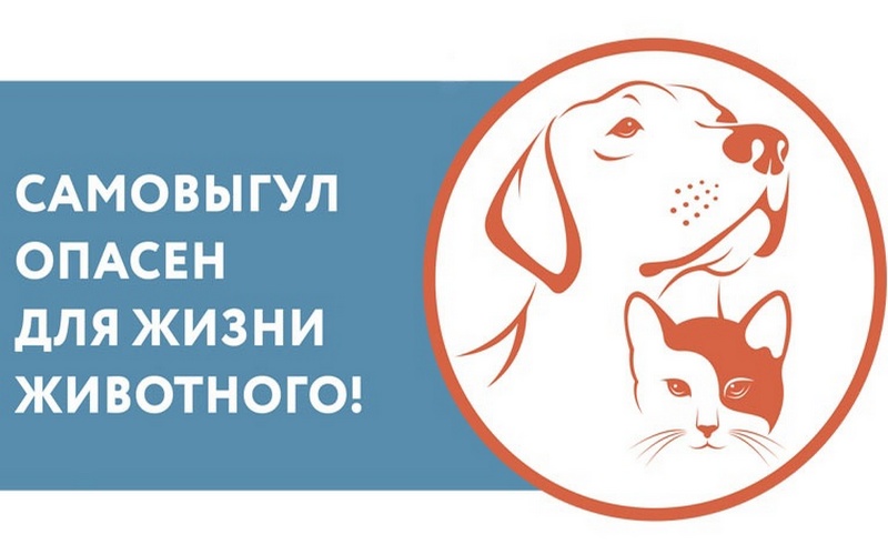 «Самовыгул животных опасен».